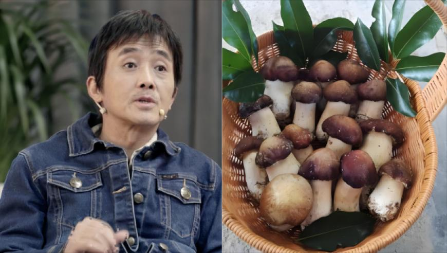 澳门跑狗论坛网站凤凰网下载,小米SU7 Ultra价格公布后弹幕炸了,权威独家讨论与热门话题_高级版V15.73